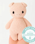 Baby Piglet