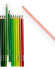 Pencil Crayons & Cards | Nature
