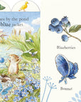 Peter Rabbit's First Colours