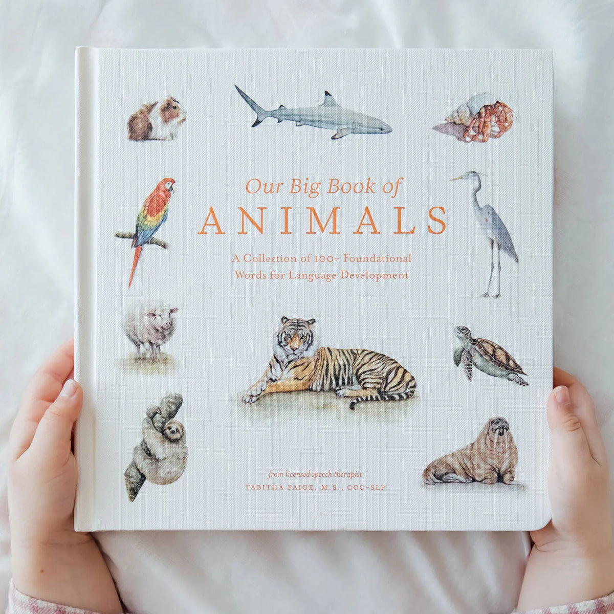 Our Big Book of Animals: A Collection of 100+ Foundational Words for Language Development