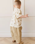 Rueben Pant | Stucco