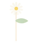Egg Hunt Kit