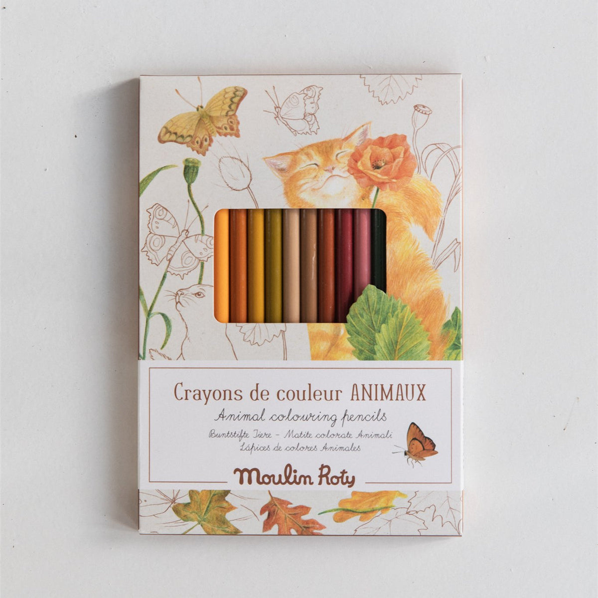 Pencil Crayons & Cards | Animals