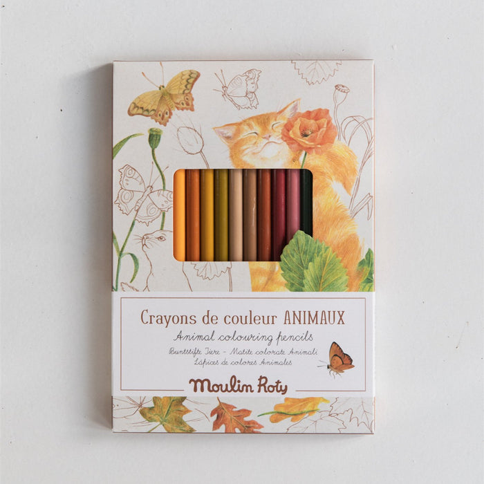 Pencil Crayons & Cards | Animals