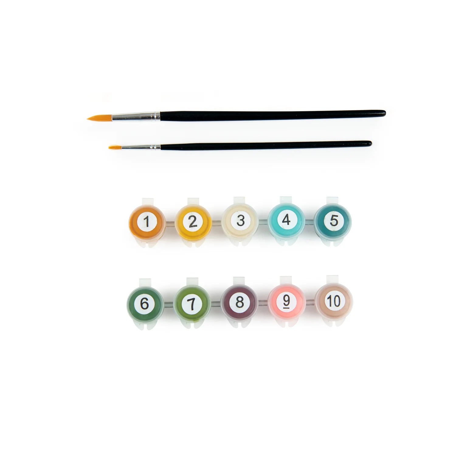 Paint By Numbers | Les Rosalies