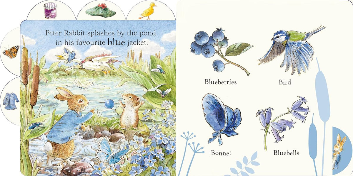 Baby First Rabbit Book Peter Rabbit First Colours - Hatched Baby & Kids Canada