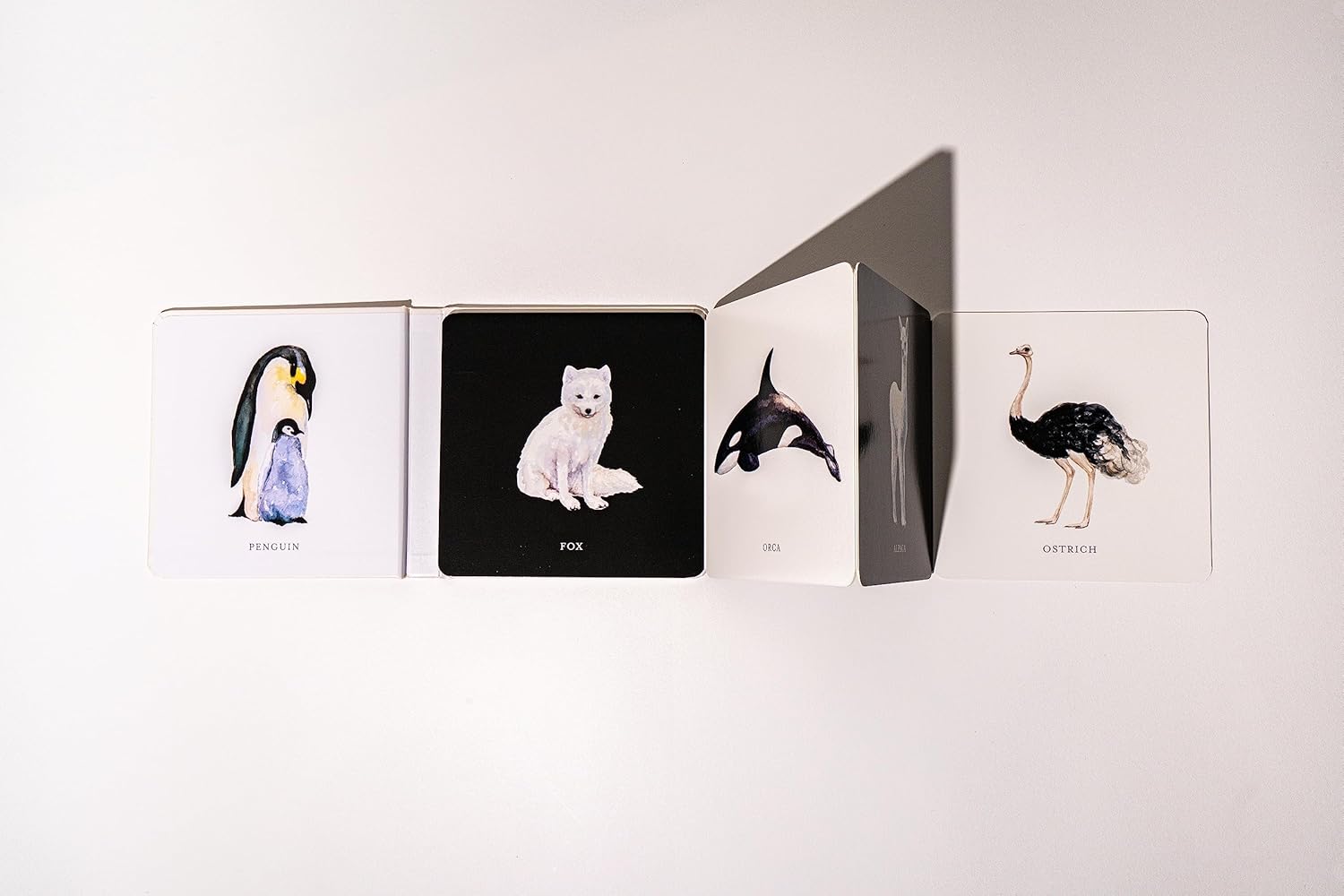 Baby&#39;s Black and White Contrast Book: High-Contrast Art for Visual Stimulation at Tummy Time