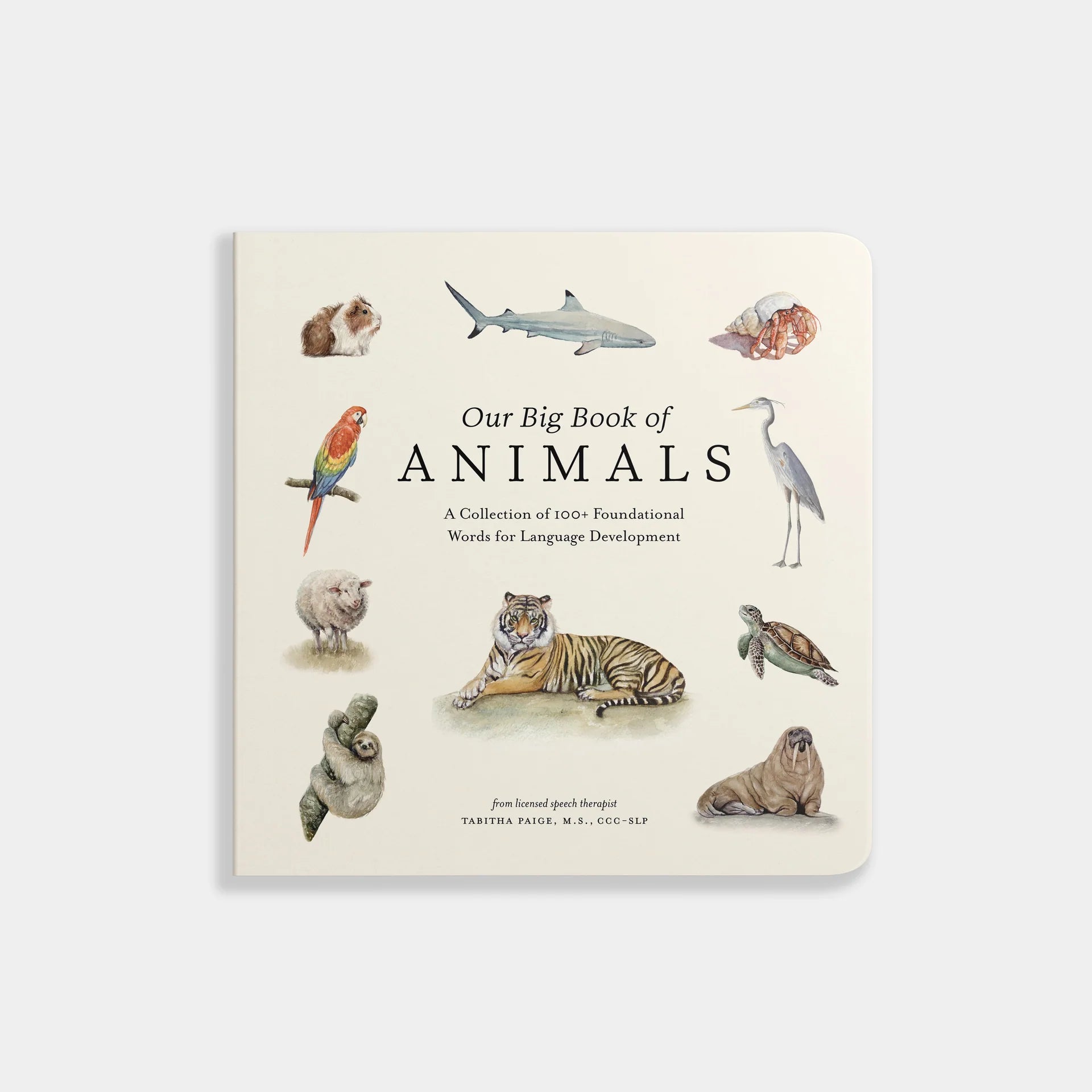 Our Big Book of Animals: A Collection of 100+ Foundational Words for Language Development