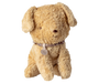 Small Puppy | Soft Sand