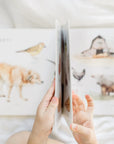 Our Big Book of First Words