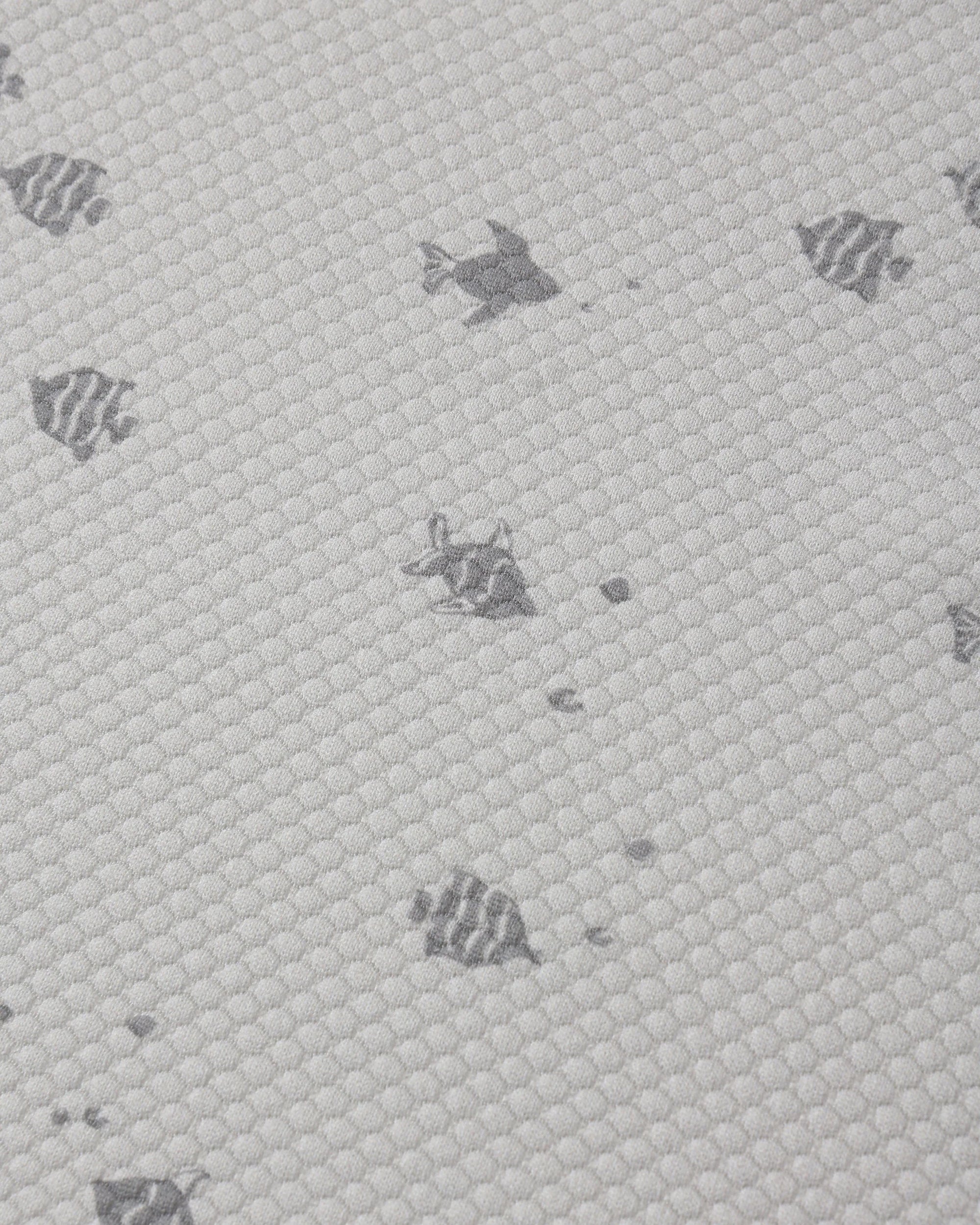 Finn Rashguard + Short Set || Fish