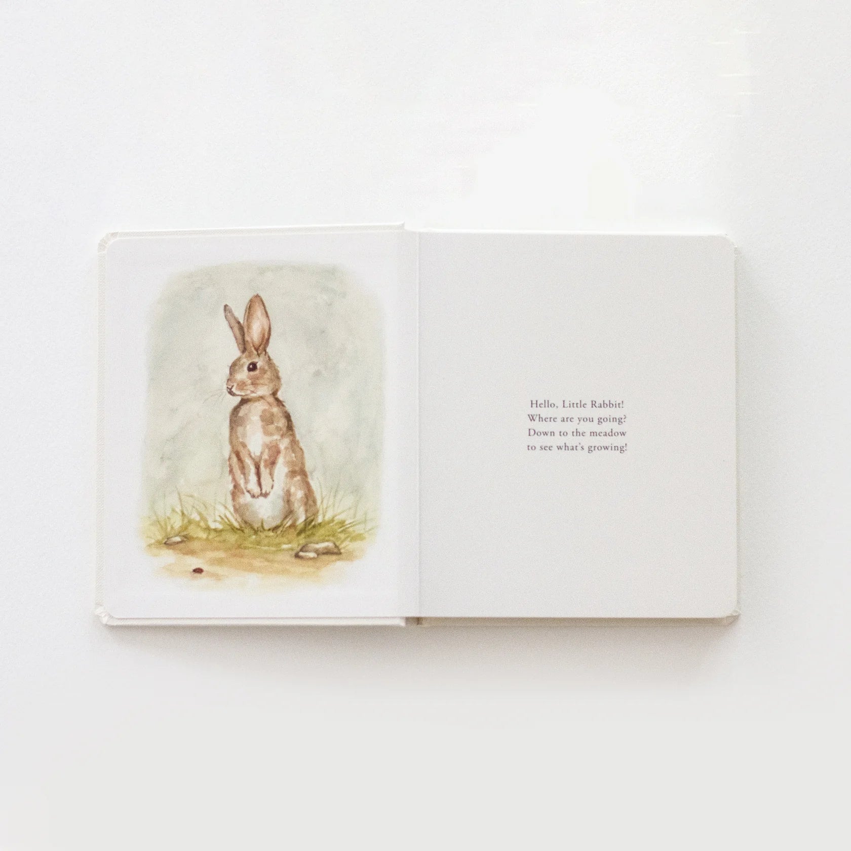 Our Little Adventures: Stories Featuring Foundational Language Concepts For Growing Minds
