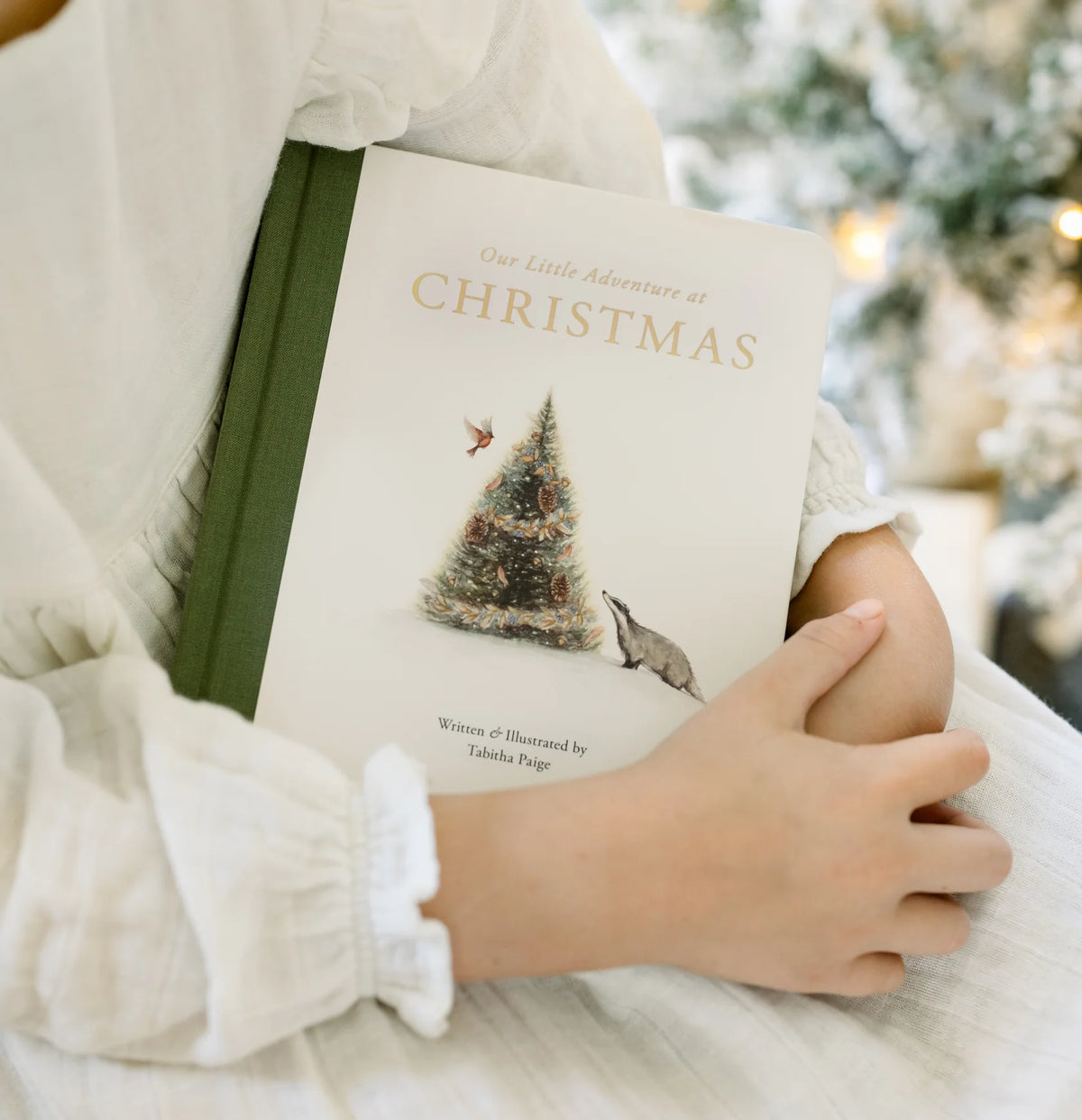 Our Little Adventure at Christmas