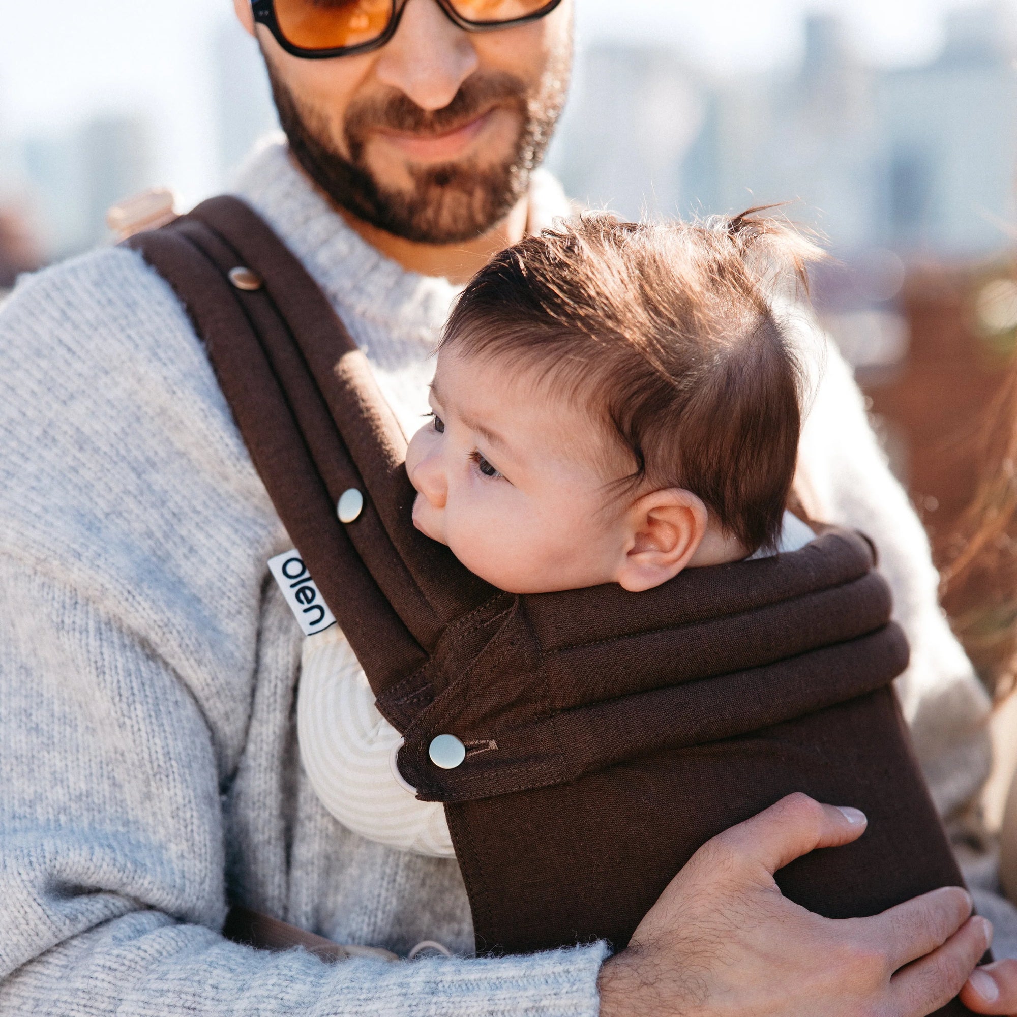 Nest Carrier | Brown