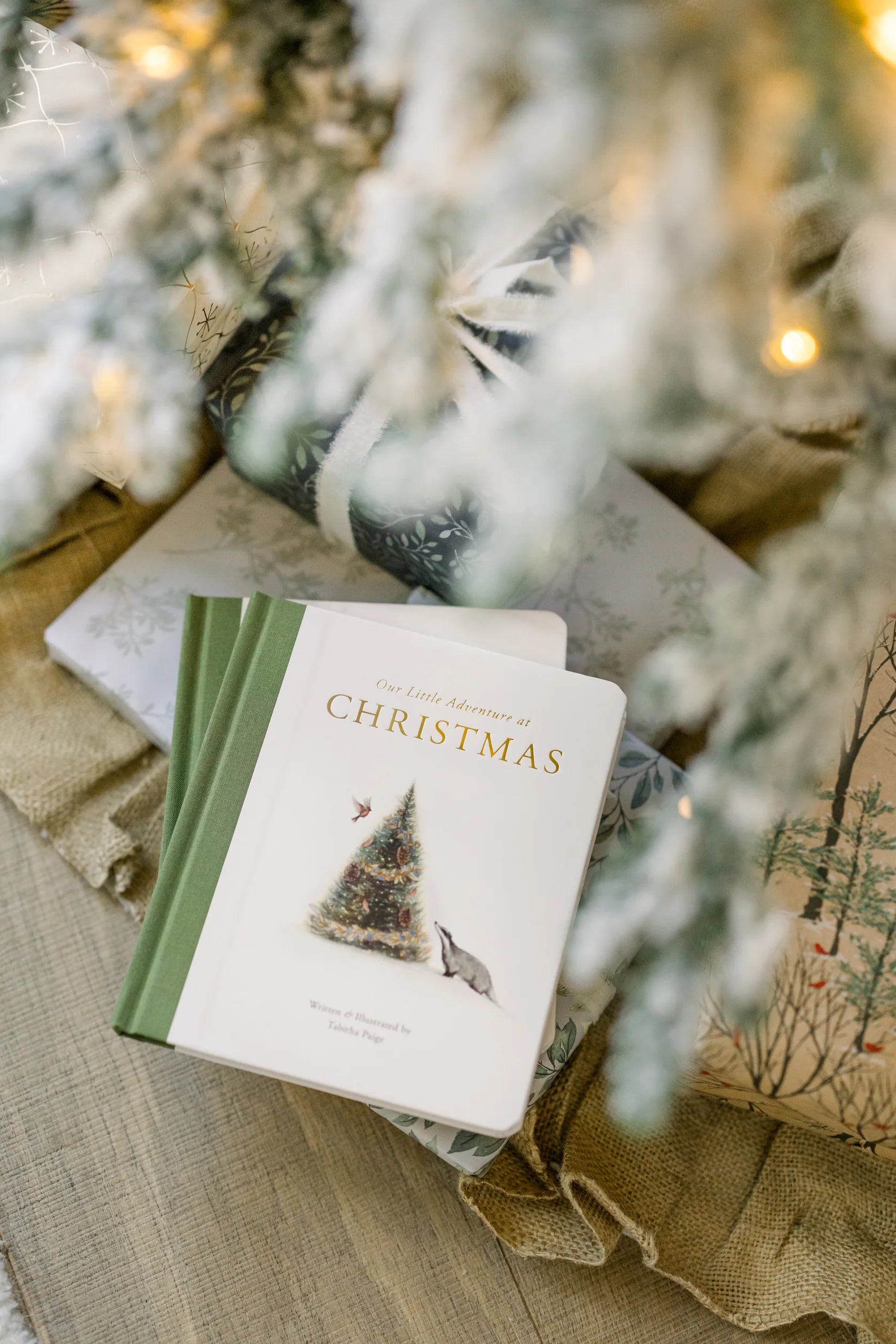 Our Little Adventure at Christmas