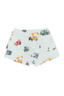 Briefs | City Vehicles