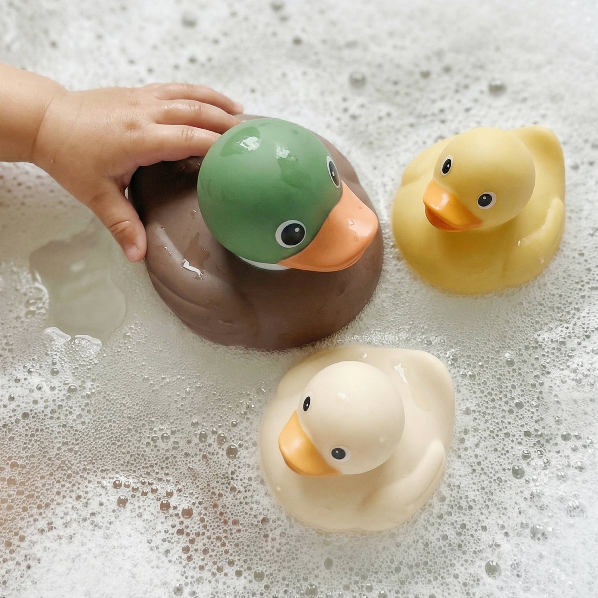 Itzy Ducky Family