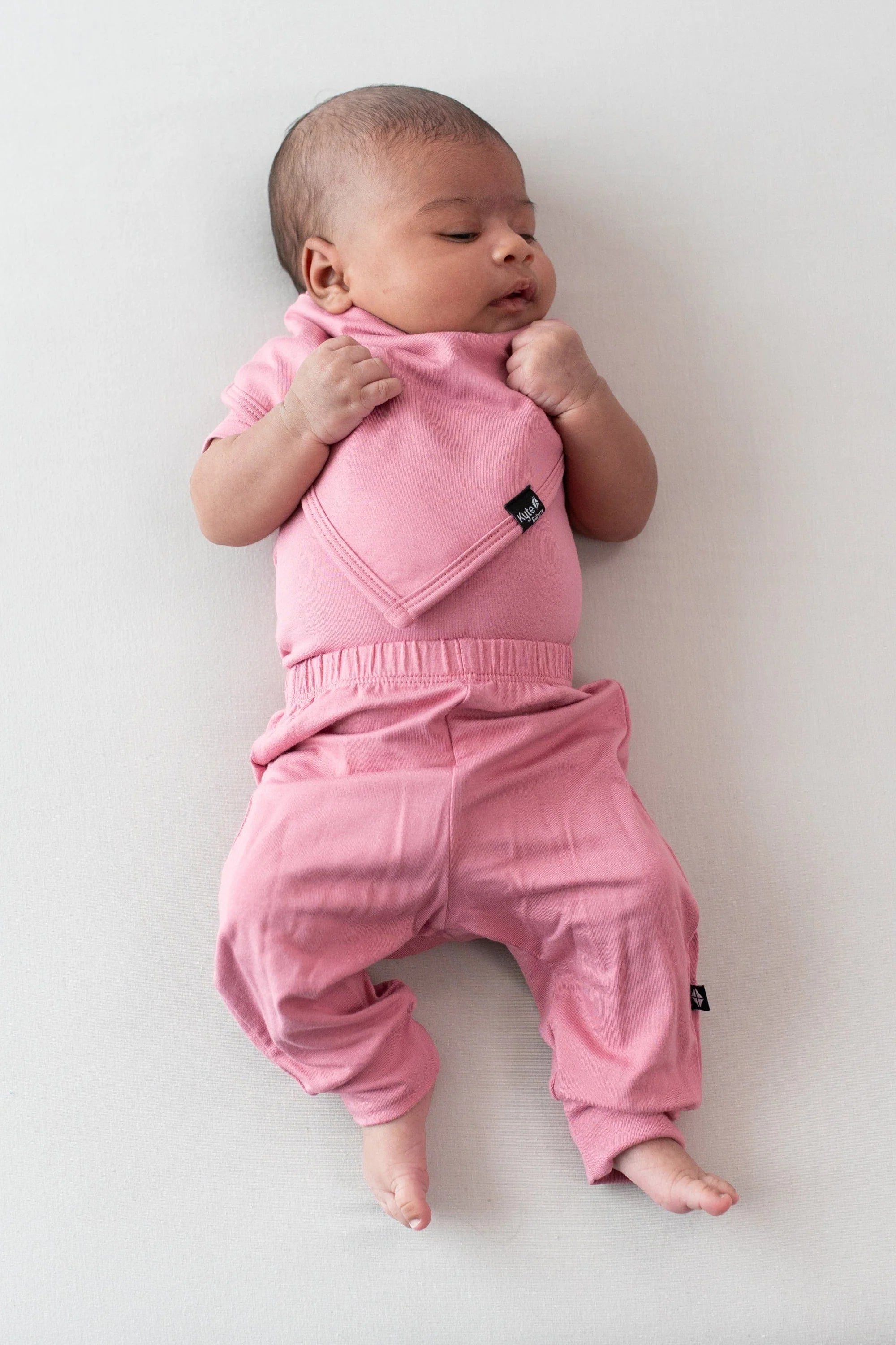 Bib | Apple Blossom