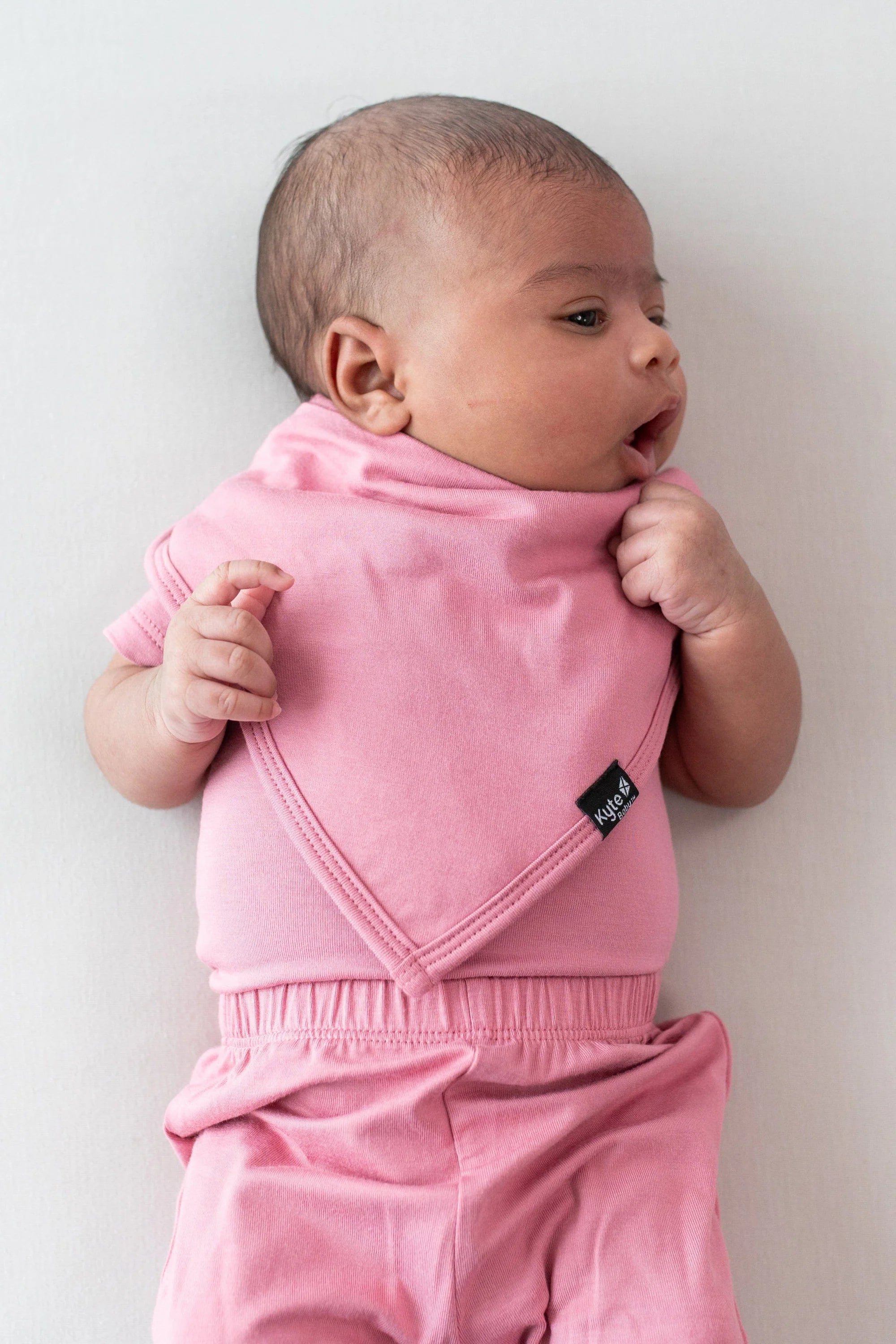Bib | Apple Blossom