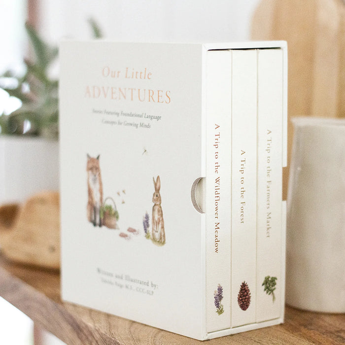 Our Little Adventures: Stories Featuring Foundational Language Concepts For Growing Minds