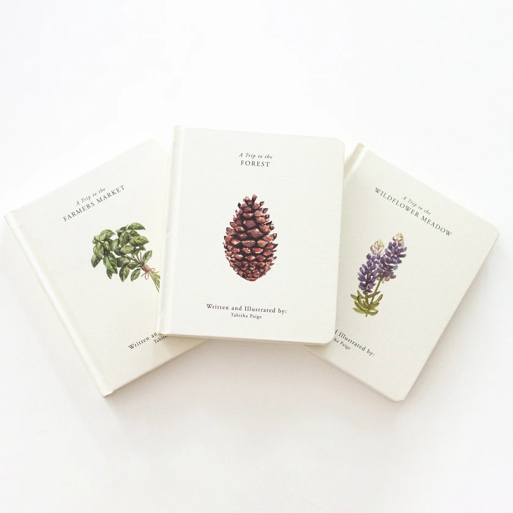 Our Little Adventures: Stories Featuring Foundational Language Concepts For Growing Minds