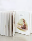 Our Little Adventures: Stories Featuring Foundational Language Concepts For Growing Minds