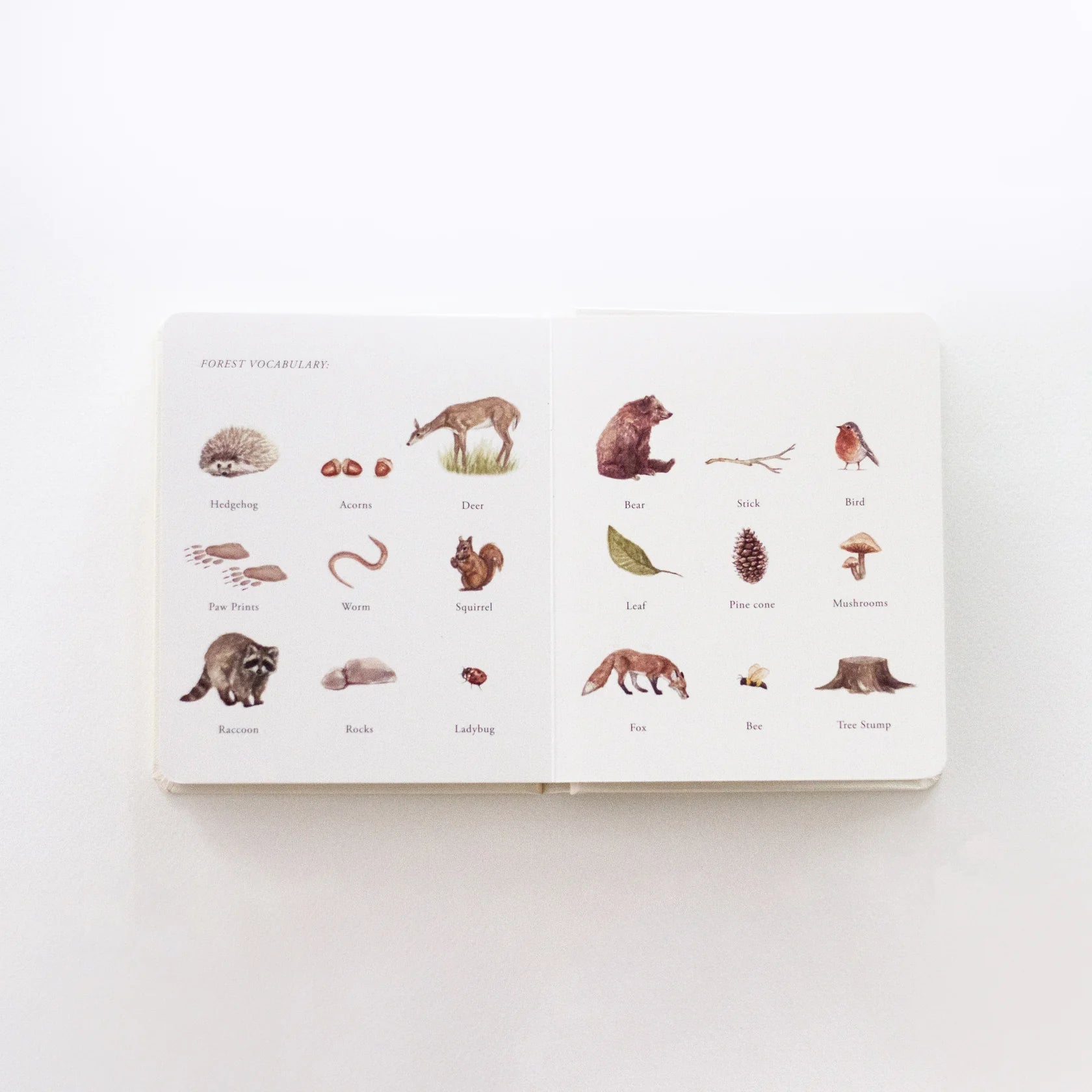Our Little Adventures: Stories Featuring Foundational Language Concepts For Growing Minds