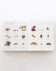 Our Little Adventures: Stories Featuring Foundational Language Concepts For Growing Minds